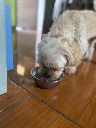 Customer photo review of Cookable Dog BARF Mix