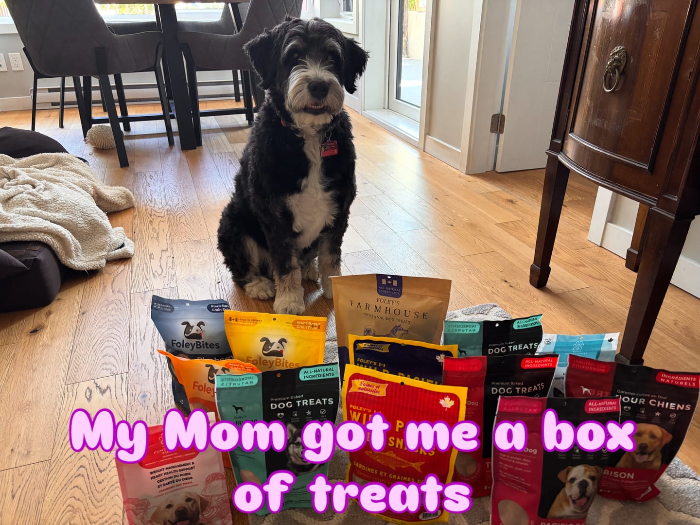 Customer photo review of Mixed - 12 Pack Bundle