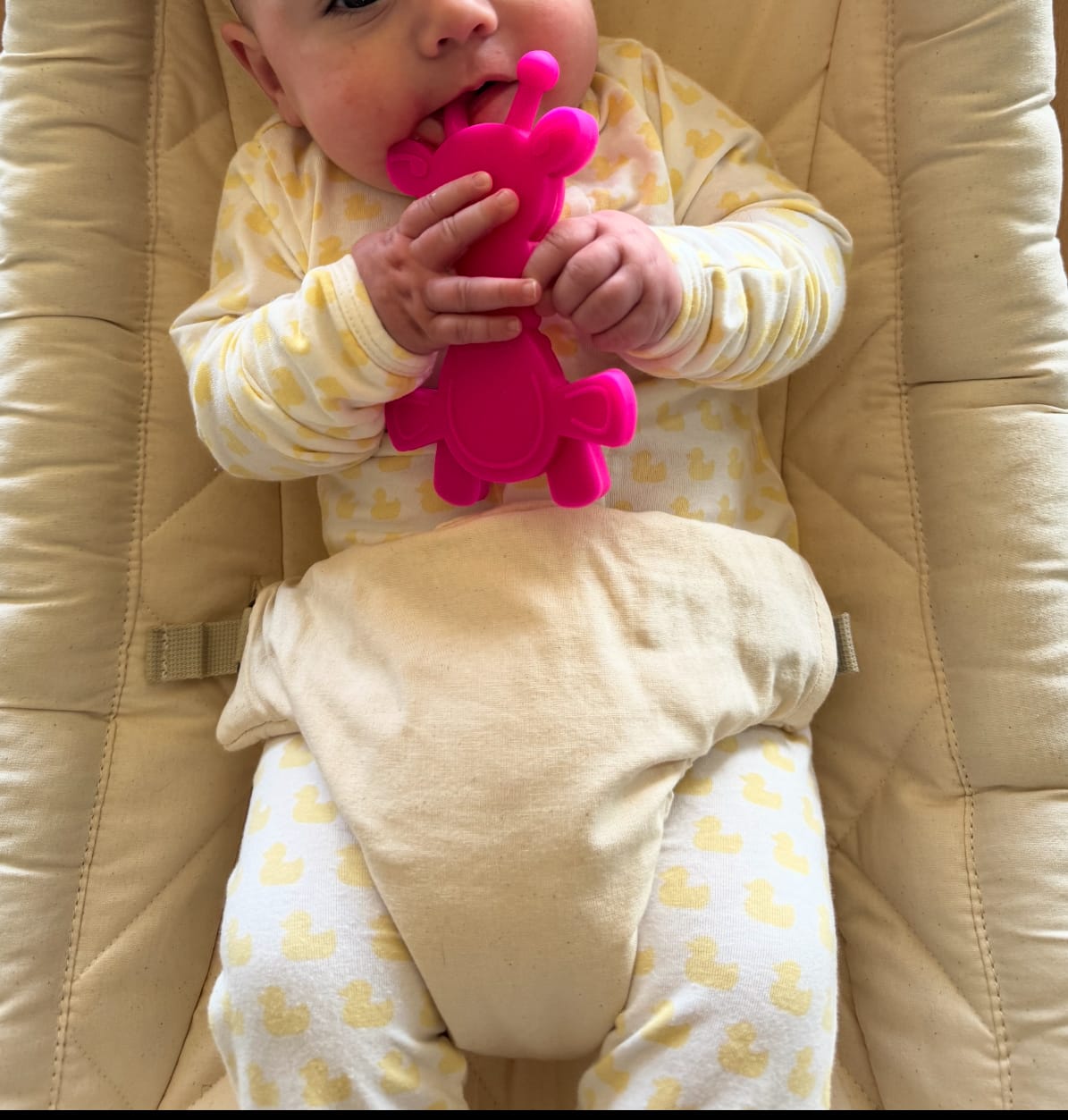 Customer photo review of Dibly Amber - Baltic Amber & Natural Rubber Dinosaur Teether with Toothbrush Tail