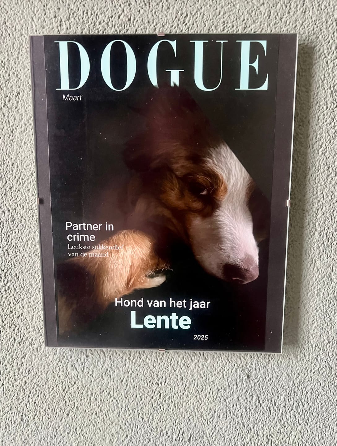 Customer photo review of Dogue - Gepersonaliseerde Poster