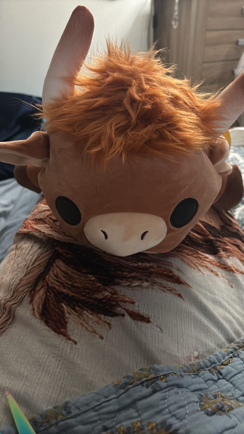 Customer photo review of Holly the Highland Cow Weighted HugaLump Animal Plush 1.5kg Medium