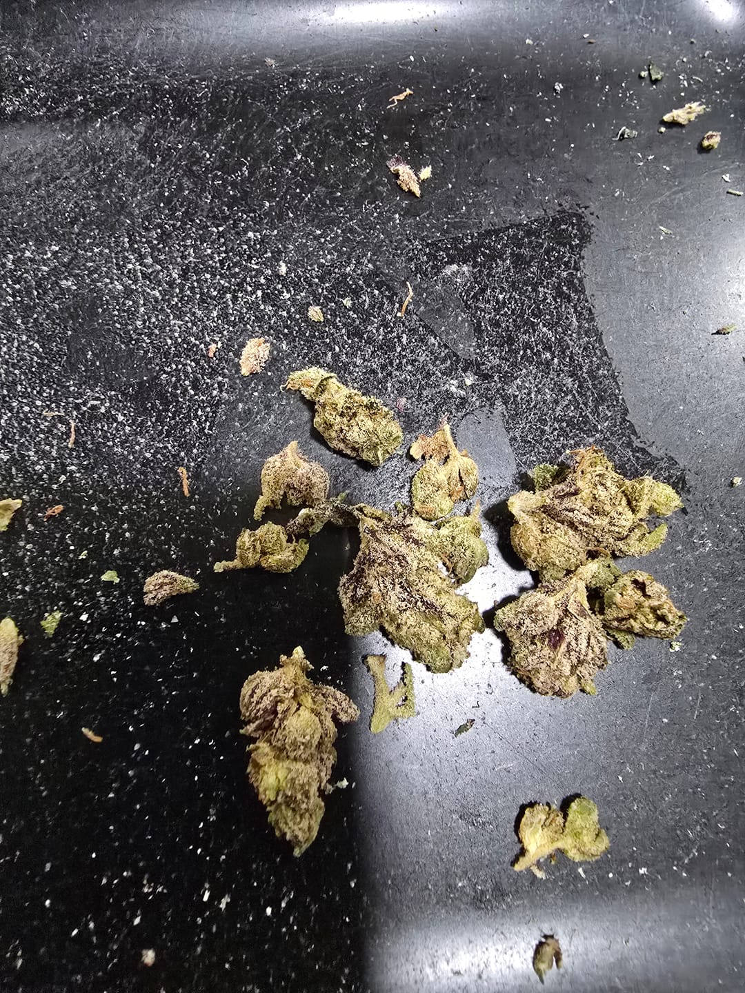 Customer photo review of Exotic Smalls