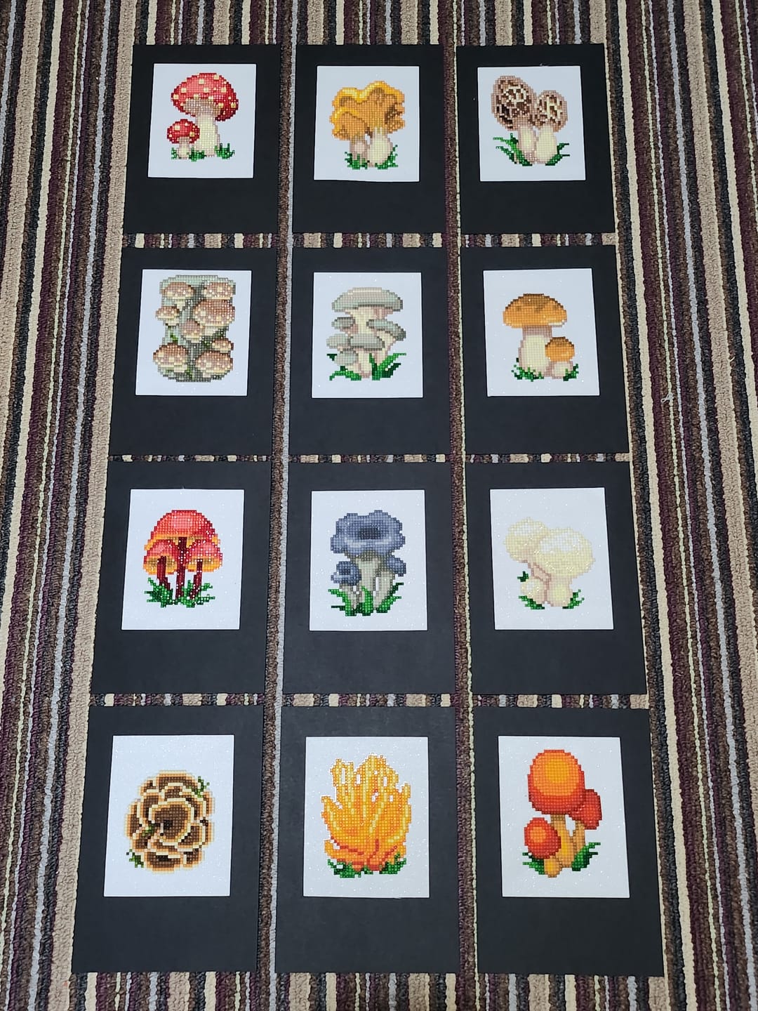 Customer photo review of Mushroom Set