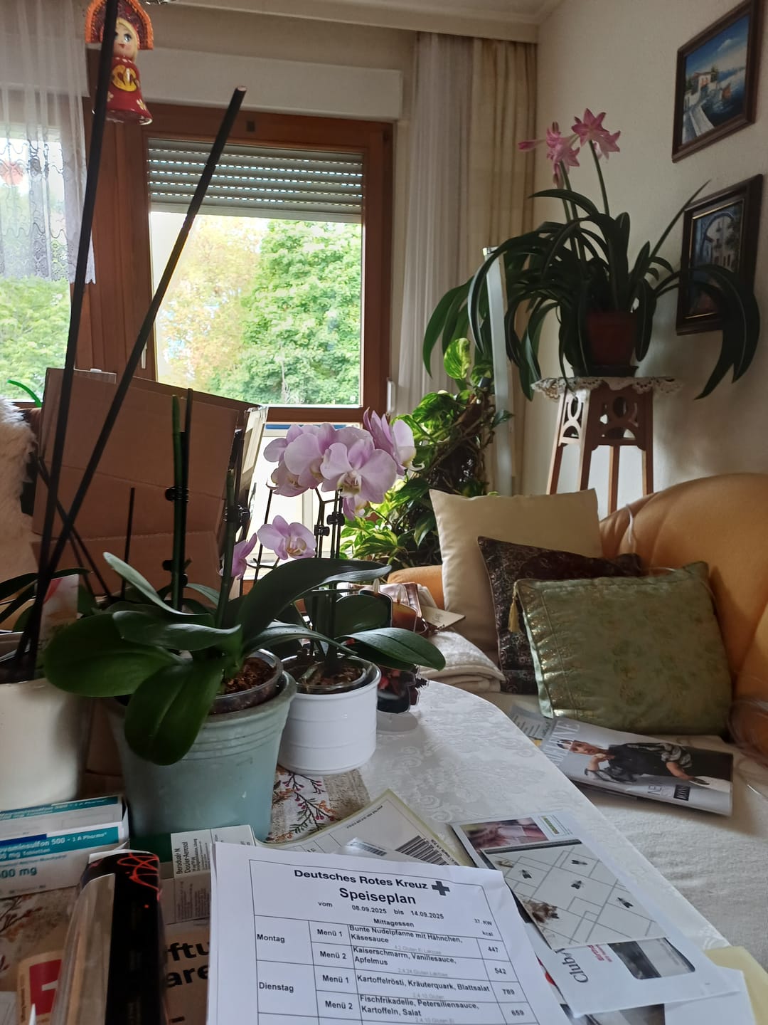 Customer photo review of Table Dance Angel Eyes mit hellrosa Blüten und 2 Rispen
