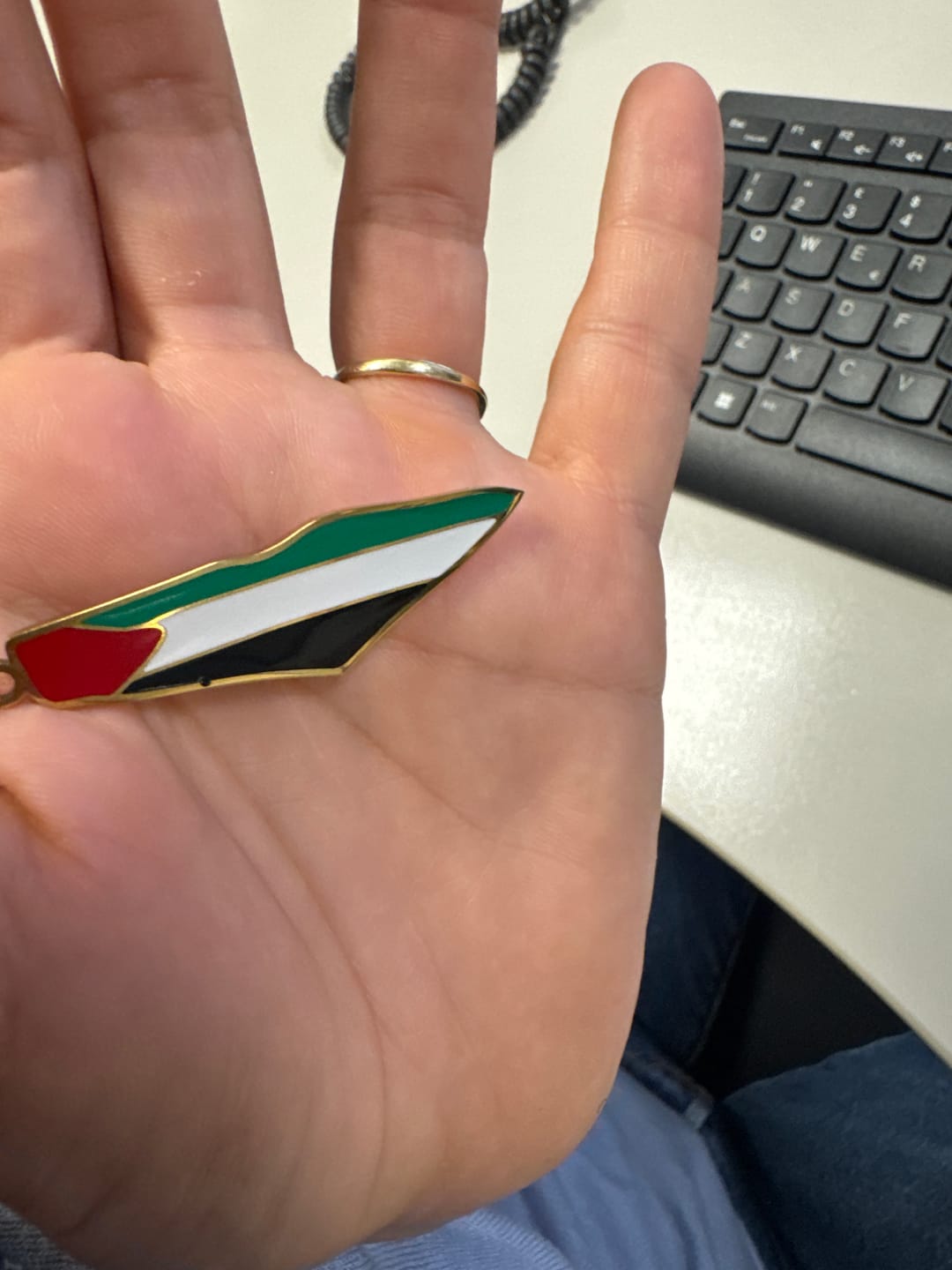 Customer photo review of Palestine Pride Map Necklace