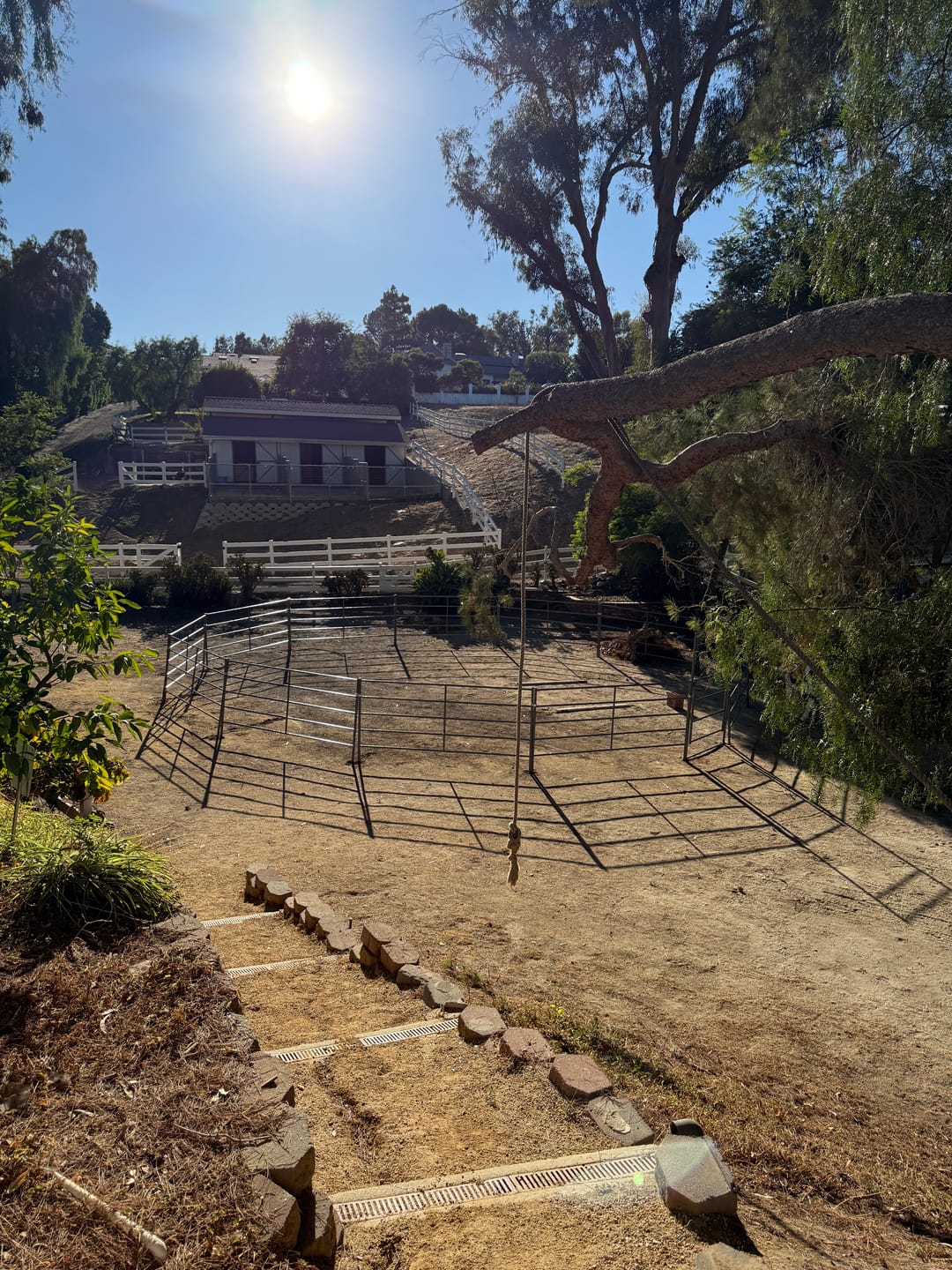 Customer photo review of 40ft Round Pen (5-Rail) 14-Gauge Steel