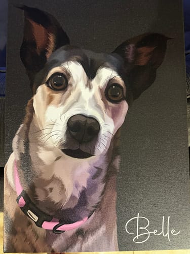 Customer photo review of Pet Art Canvas Wrap