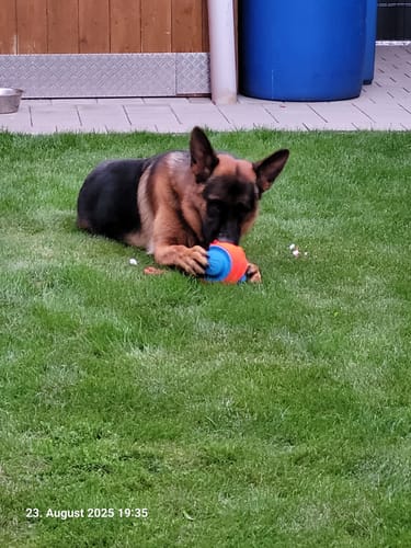 undefined review of Nature Protect image 1 out of 1