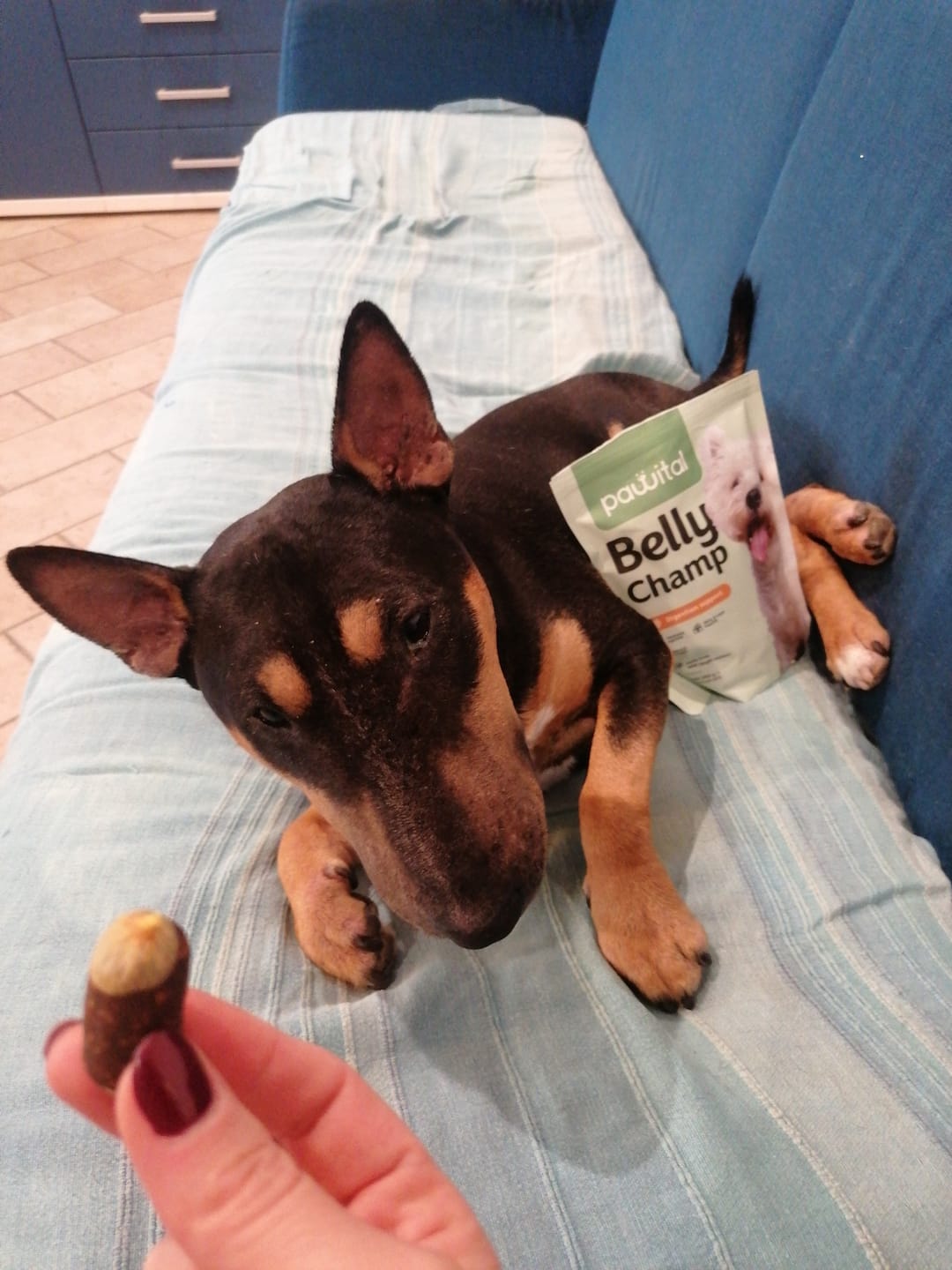 Customer photo review of Belly Champ €12,90