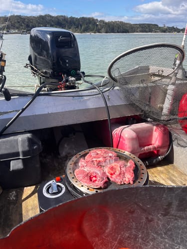 Customer photo review of COBB Black Gas Bundle