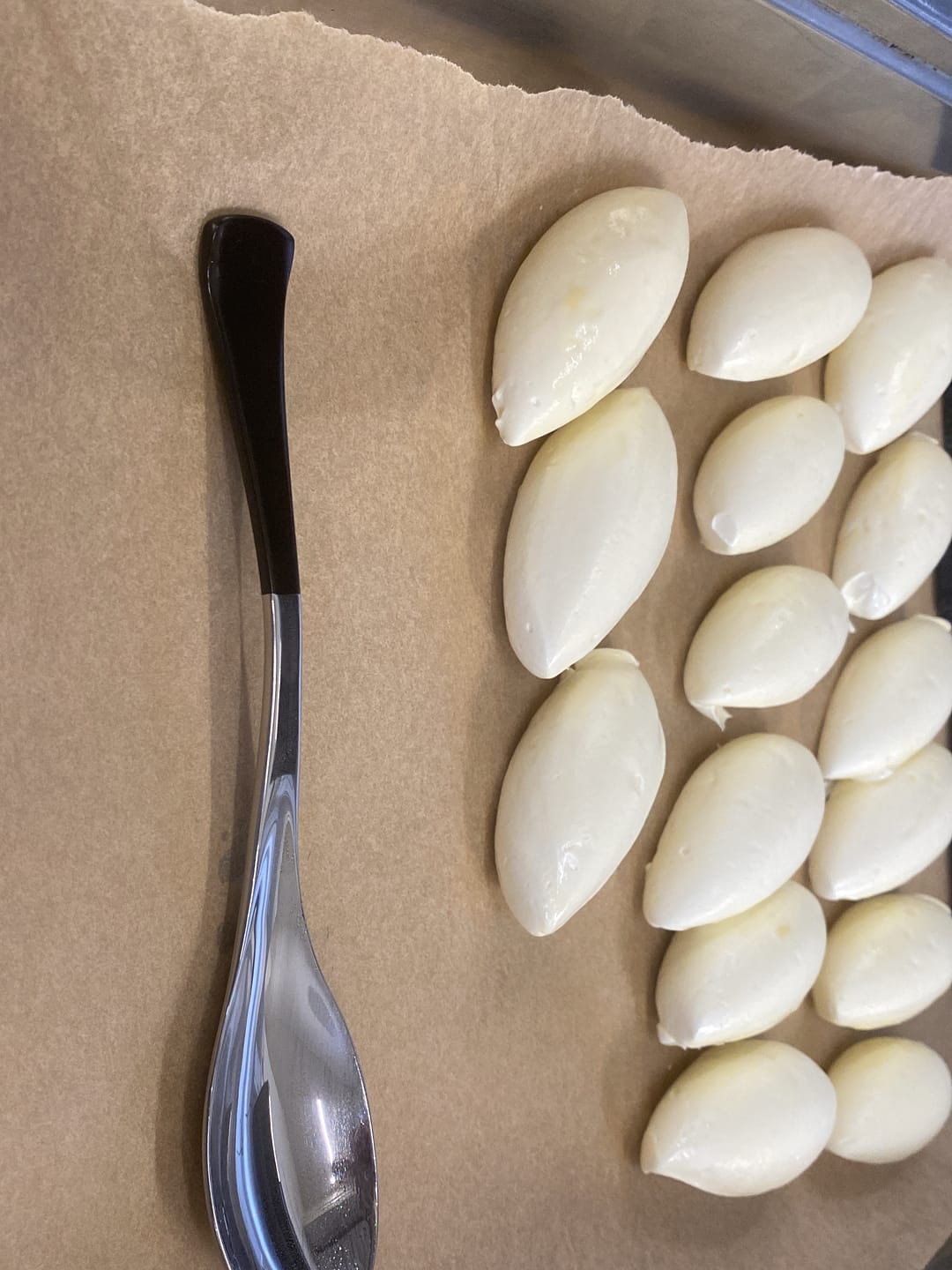 Customer photo review of SignatureSpoon Medium