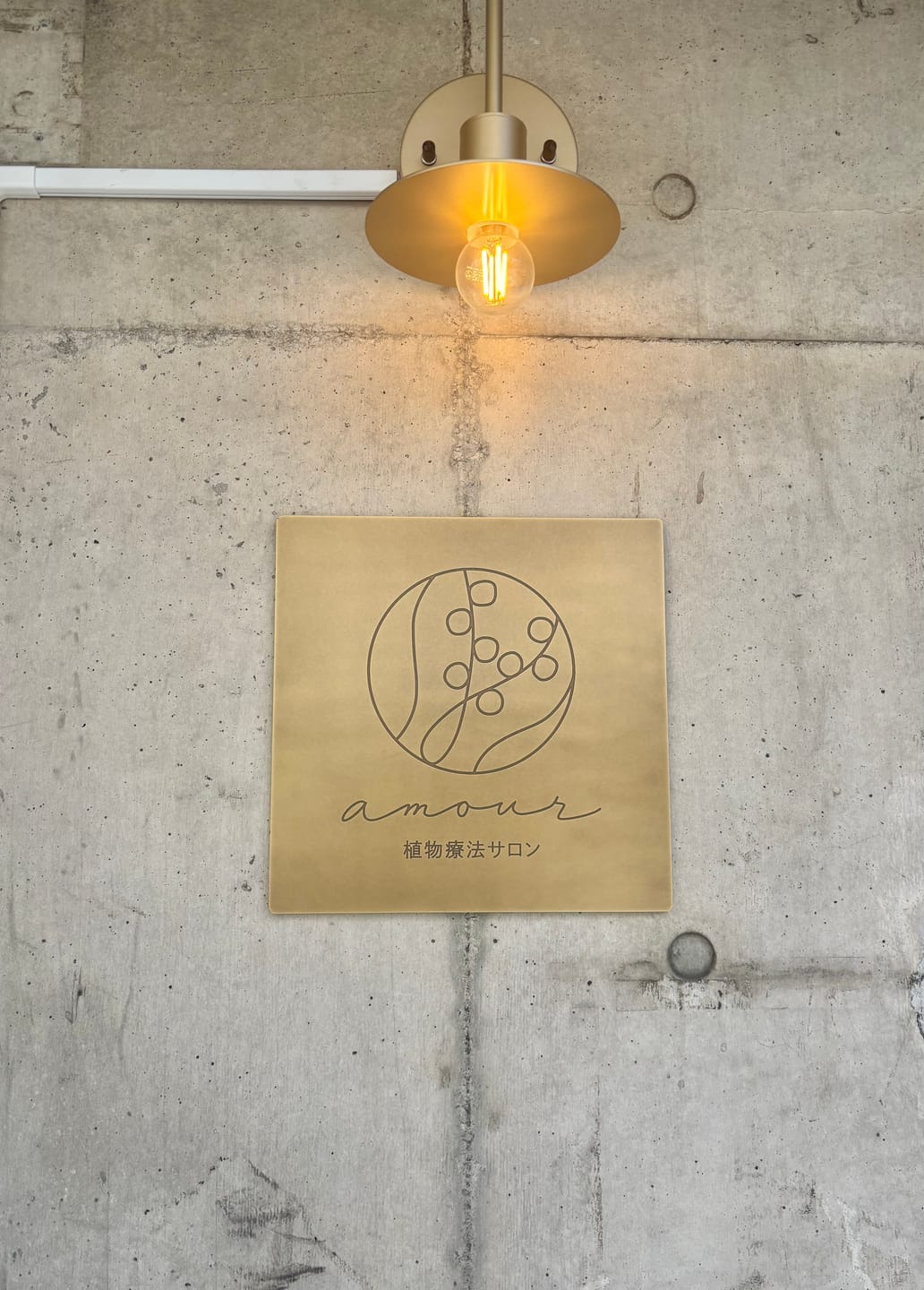 Customer photo review of 【看板】Tailor（真鍮）
