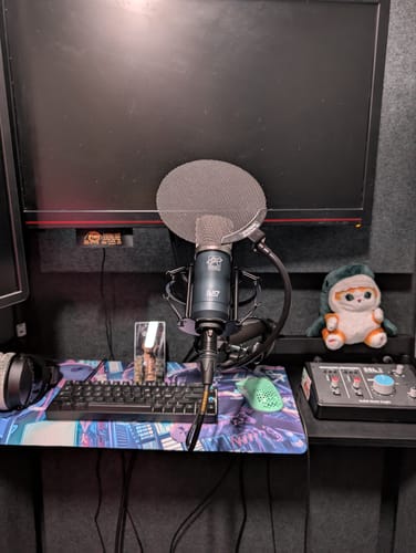Customer photo review of Mini K87 Condenser Microphone
