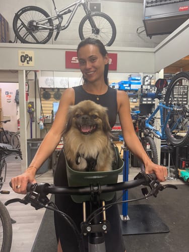 Customer photo review of Kvisp Dog Bike Carrier