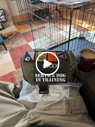 Customer video review of Hook & Loop Patch Variety Bundle For Harness (Pack of 12)