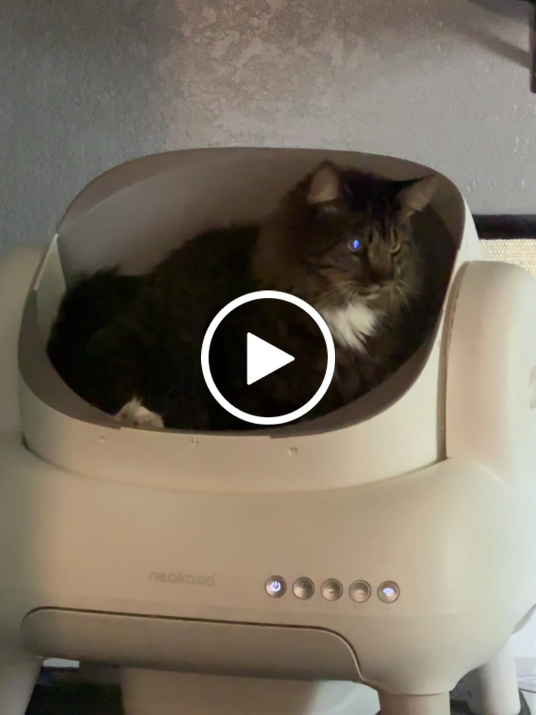 Customer video review of Neakasa M1 Lite Open-Top Self-Cleaning Cat Litter Box