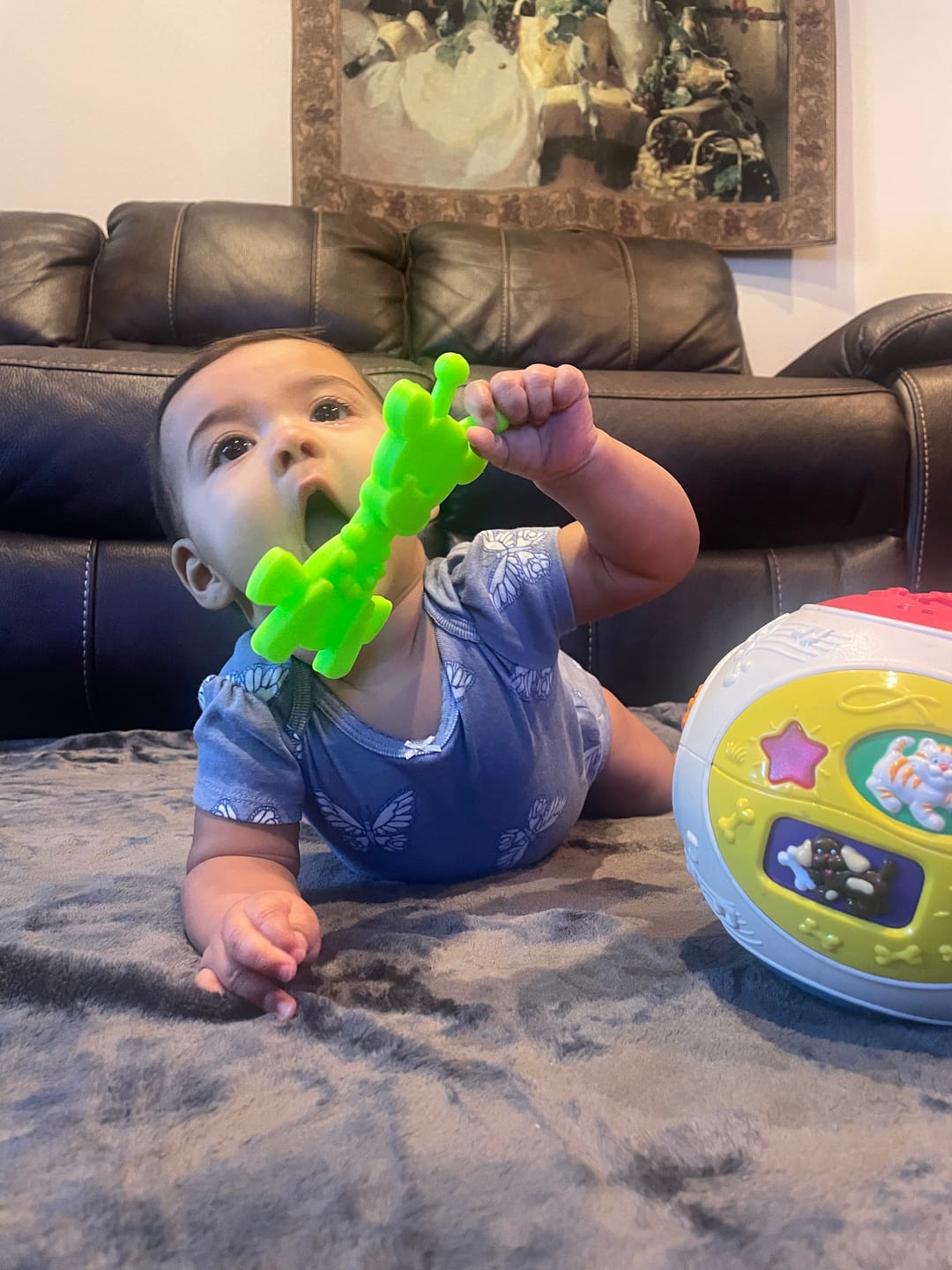 Customer photo review of Dibly Amber - Baltic Amber & Natural Rubber Dinosaur Teether with Toothbrush Tail