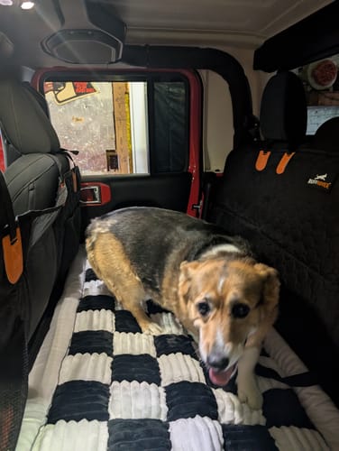 Customer photo review of RuffRover 2.0™ - Hard Bottom Back Seat Extender + (FREE Dog Bed)