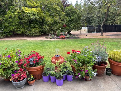 Customer photo review of Alba Cordless Fountain