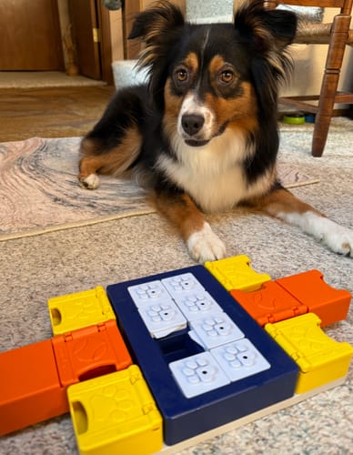 Customer photo review of Natural Farm Freeze-Dried Chicken Morsels - Raw Dog Food Complete Meal or Topper for All Life Stages