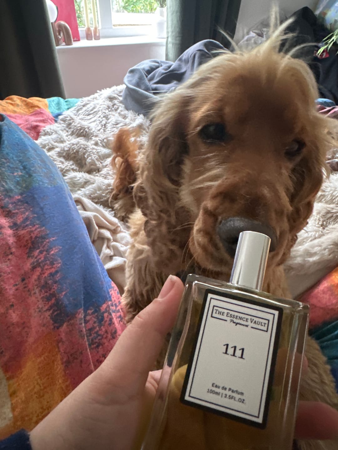 Customer photo review of Inspired by Neroli Portofino - 111