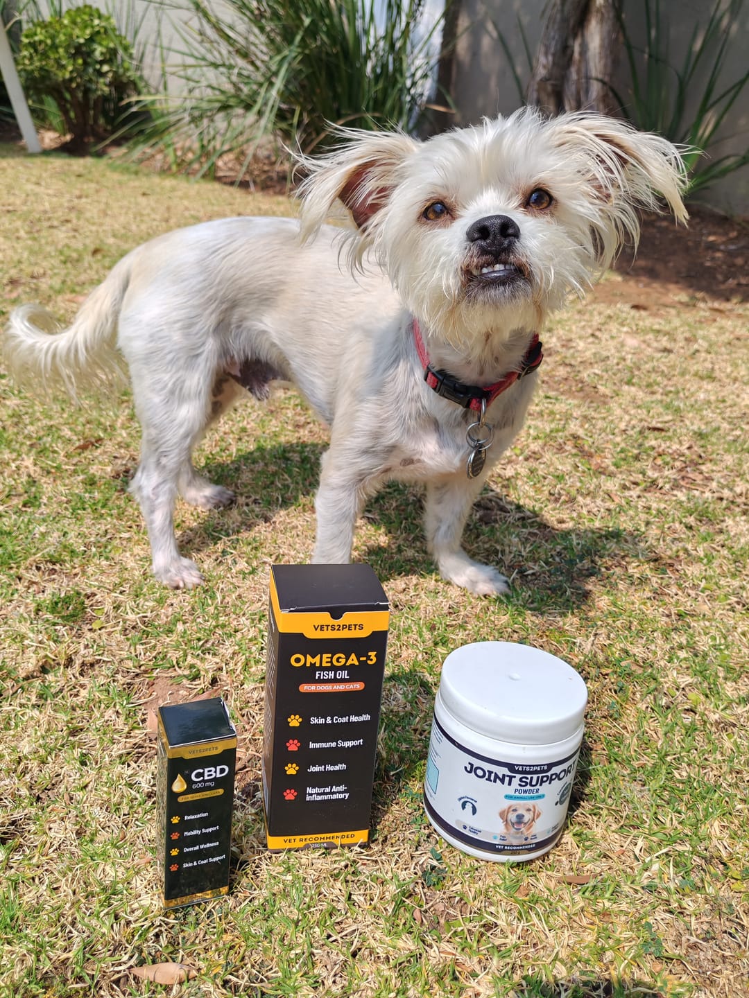 Customer photo review of OMEGA-3