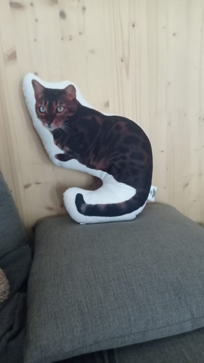 Customer photo review of Personalisiertes Katzenkissen