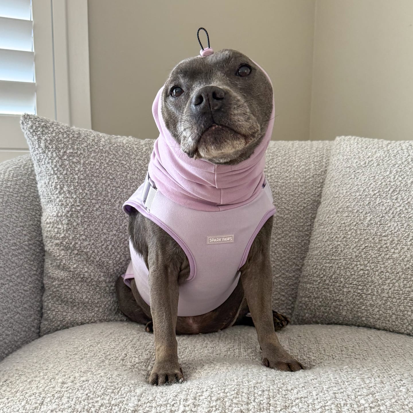 Customer photo review of Anxiety Calming Suit - Purple