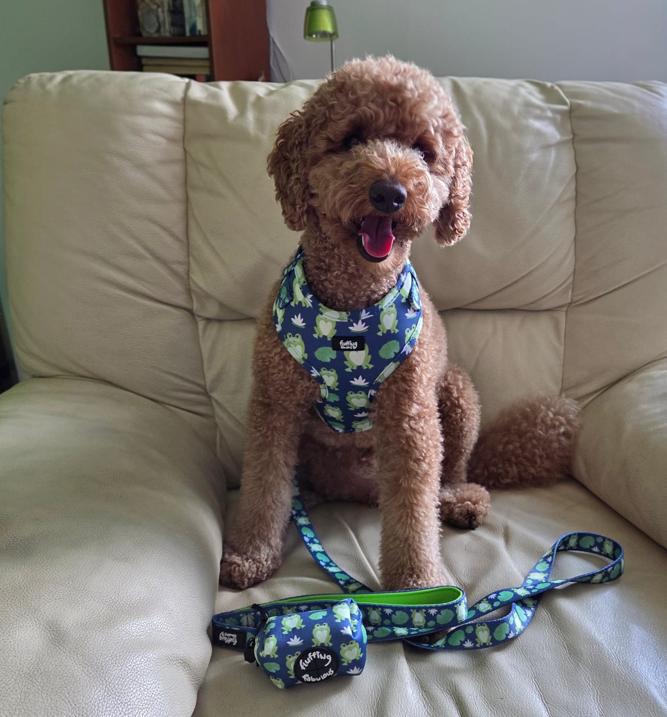 Customer photo review of Adjustable Dog Harness - Frogging Fabulous