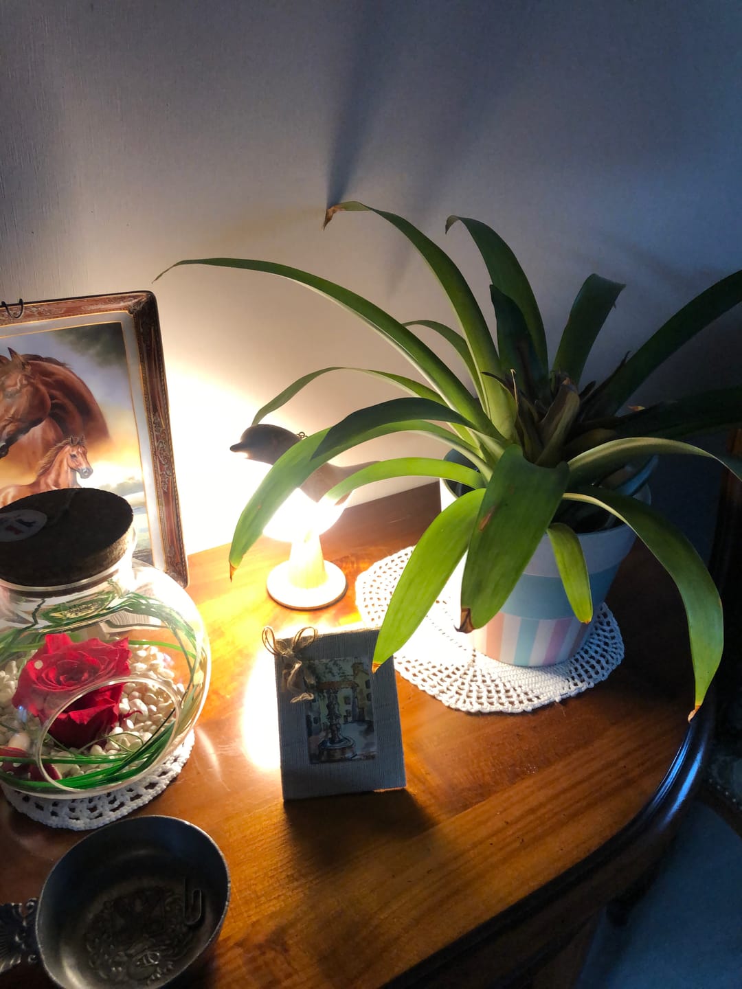 Customer photo review of BirdZen - Lampe de Chevet
