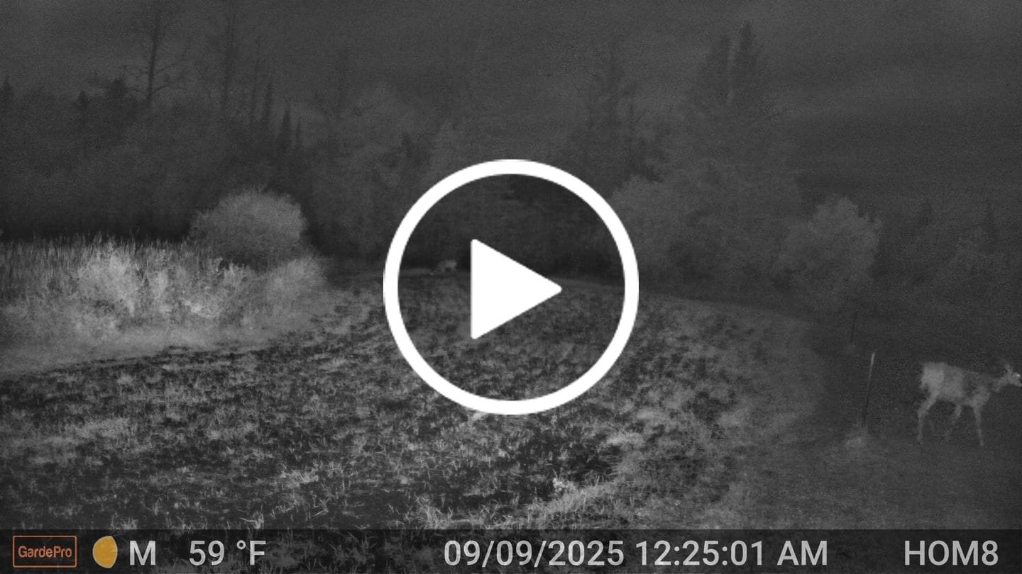Customer video review of GardePro X60P Live Max (Cellular)