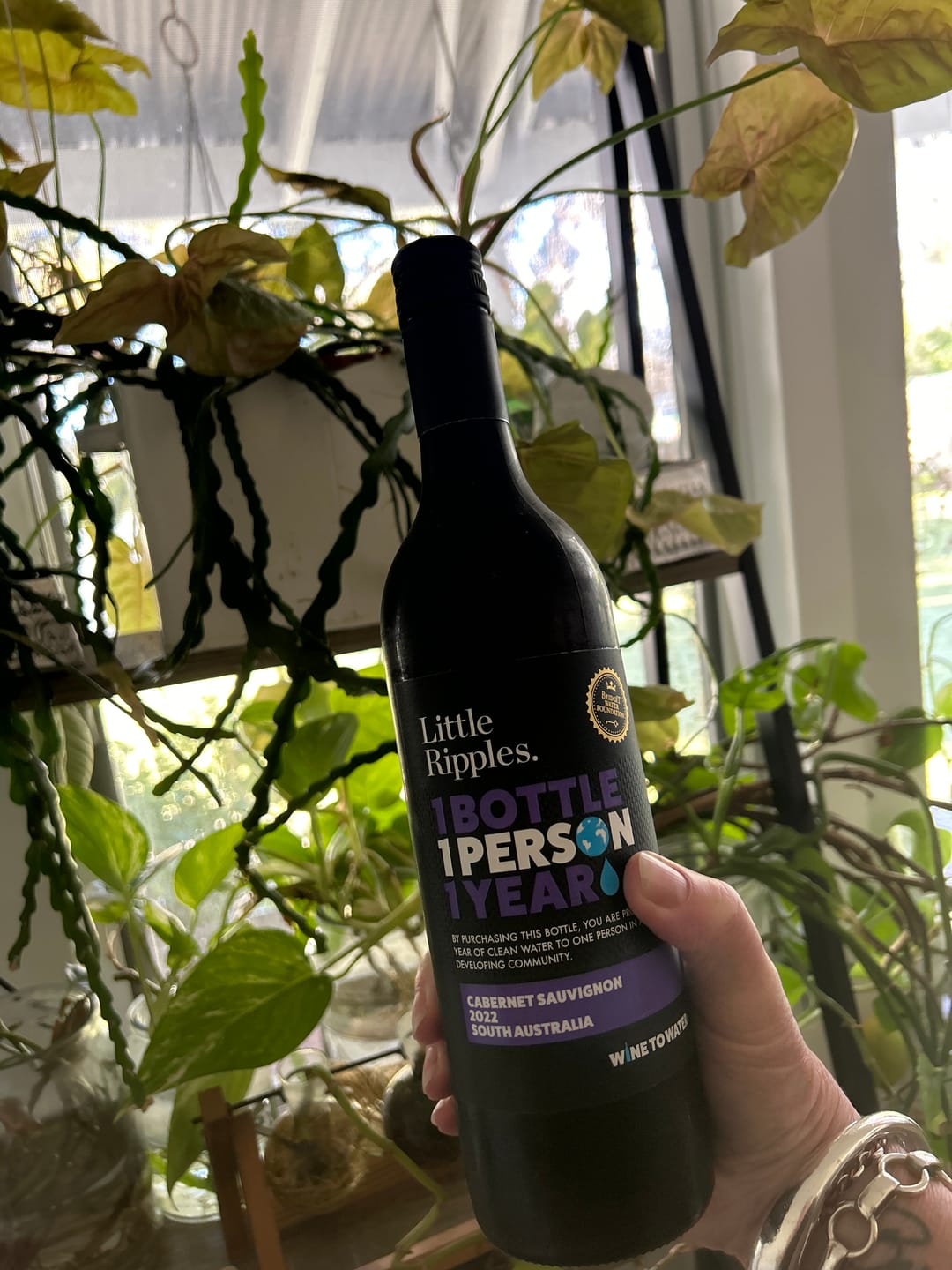 Customer photo review of Cabernet Sauvignon - 6pk