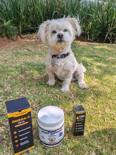 Customer photo review of Joint Support Powder