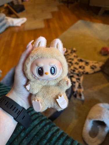 Customer photo review of Labubu V2 Have a Seat Vinyl Plush Blind Box