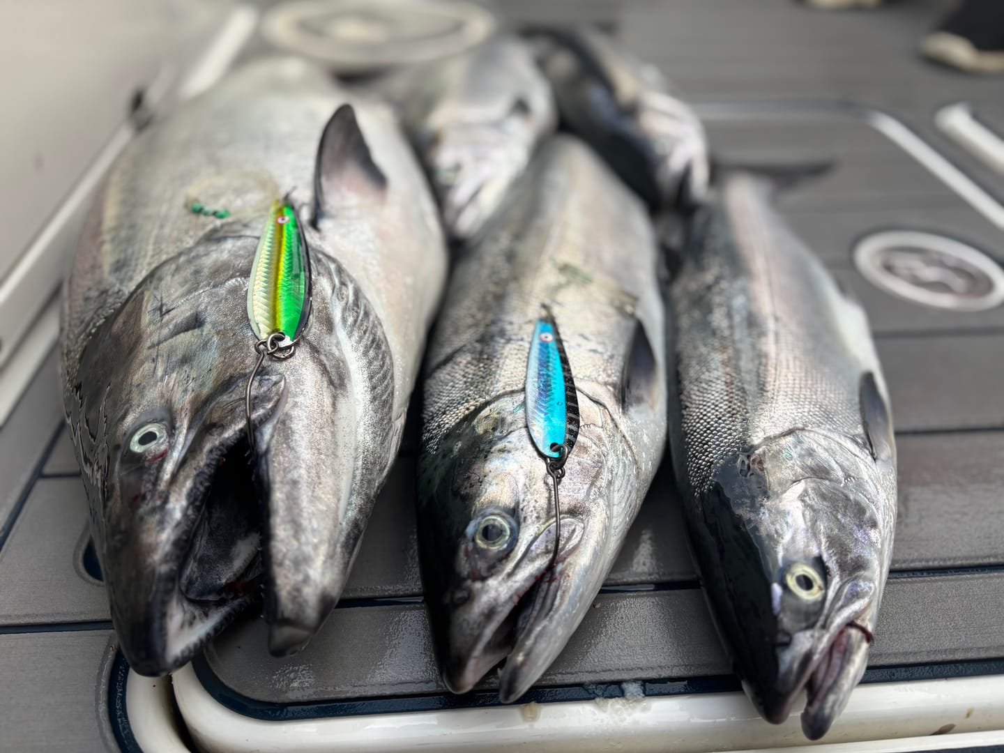 Customer photo review of G Force Shimmer Series