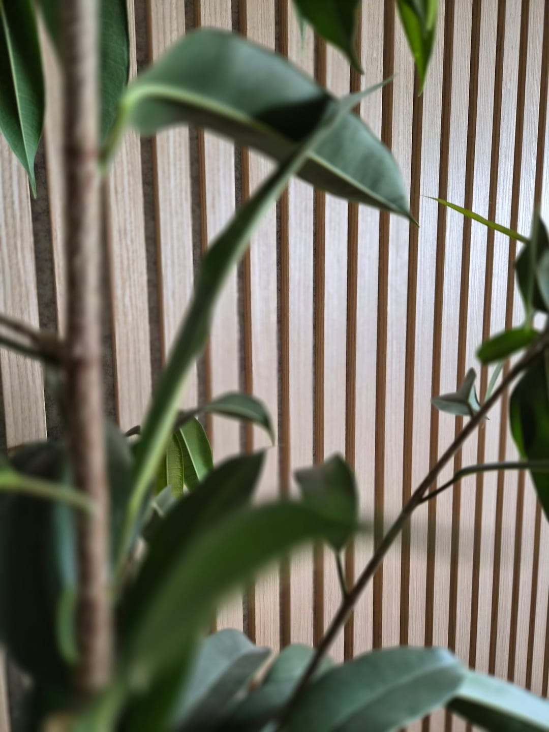 Customer photo review of AkuPanel Naturel Eiken-Hout met Grijs Vilt | 240cm x 60cm | 3-zijdig écht houtfineer