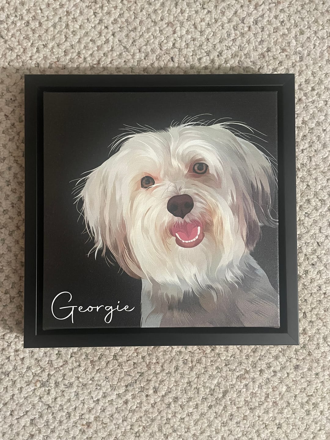 Customer photo review of Pet Art Canvas Wrap