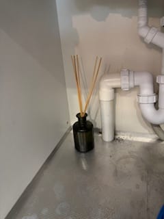 Customer photo review of Wild Mint 200ml Room Diffuser Refill