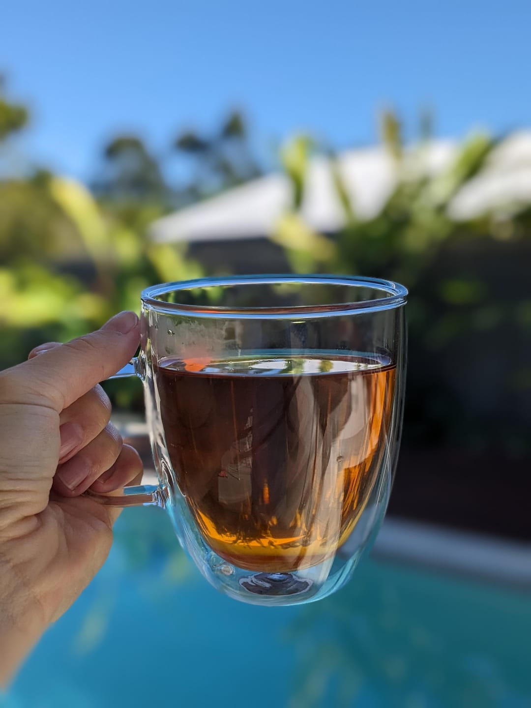 Customer photo review of Morning Lift Tea