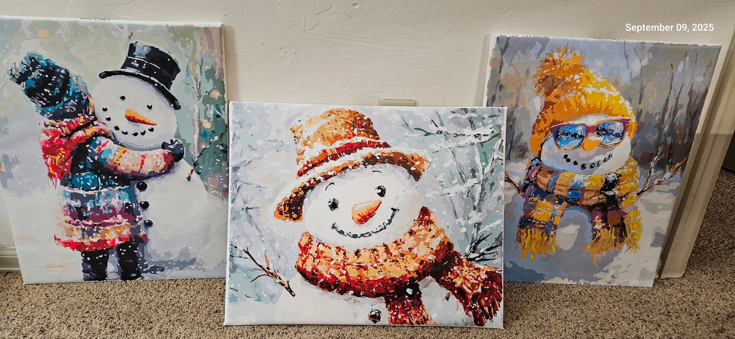 Customer photo review of Winter Friend