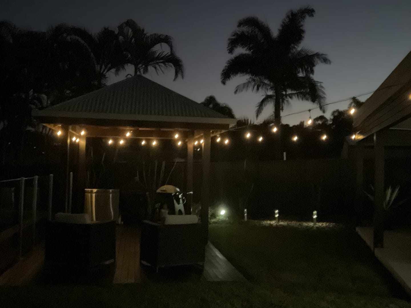 Customer photo review of Festoon Solar Lights (Series 2)