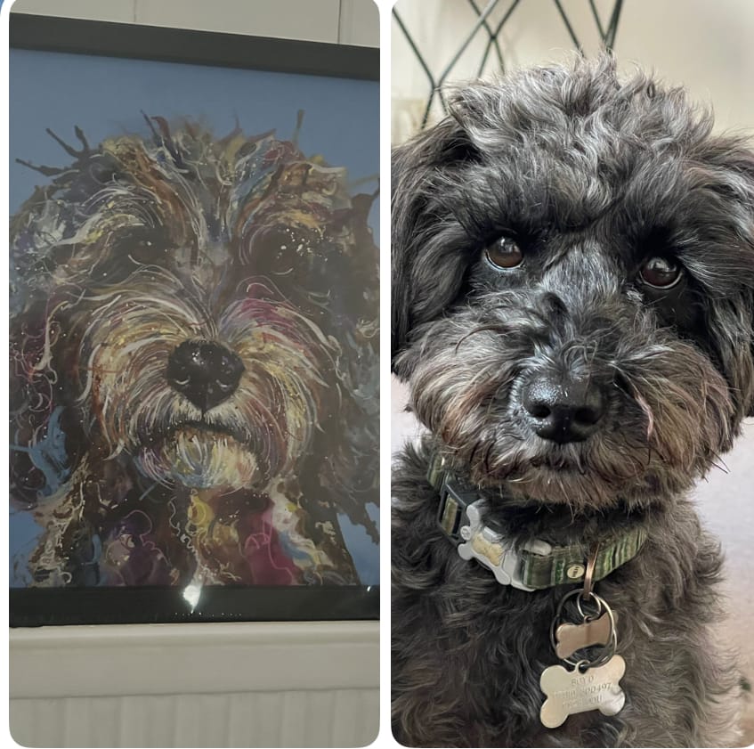 Customer photo review of Cockapoo Small By Louise Luton