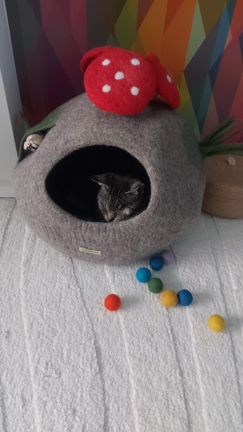 Customer photo review of Toadstool Cat Cave with Mouse Toy