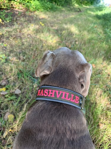 Customer photo review of Neoprene Dog Collar with Name - L | 4Kyon