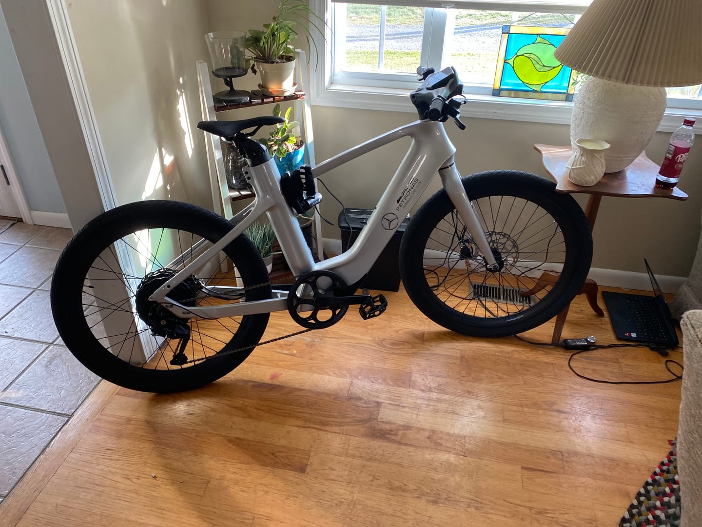 Customer photo review of Mercedes-AMG PETRONAS F1® Team City Edition 750 Electric Bike