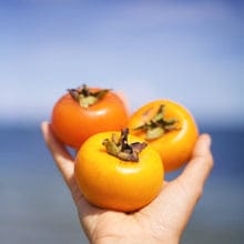 Customer photo review of Tropical Persimmon *Pre-Order*