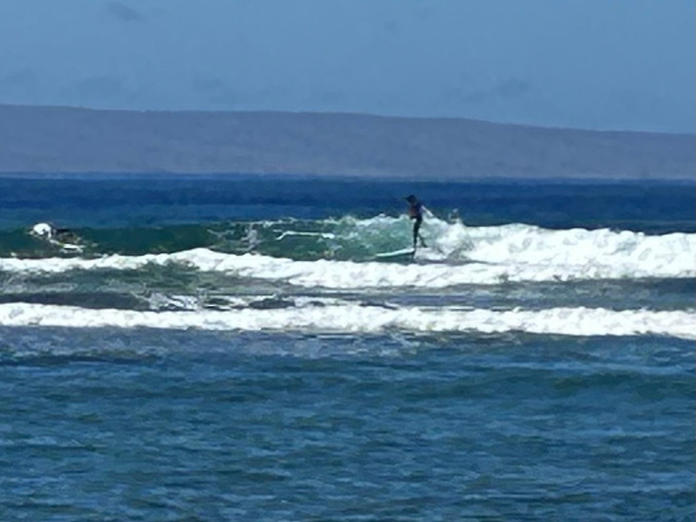 Customer photo review of FIREWIRE Special T 2+1 Fin (8'0-9'9) Helium 2 Futures