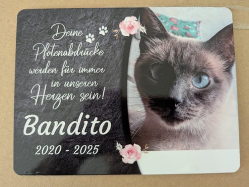 Customer photo review of Katzen Gedenktafel mit Foto & Spruch (UV- & Wetterfest)
