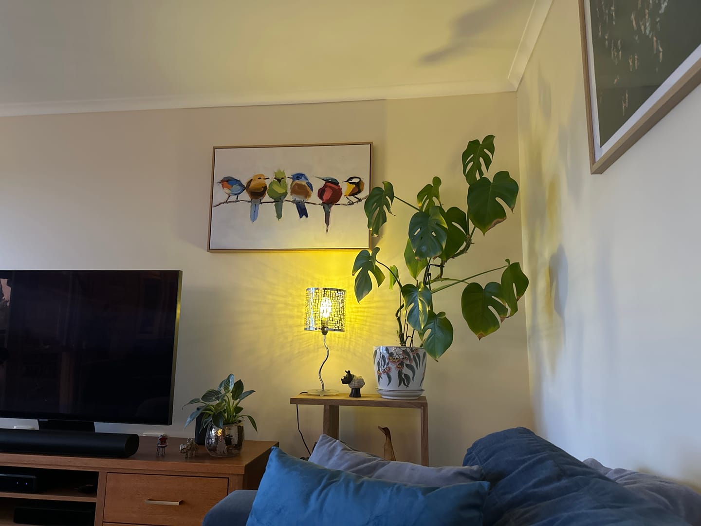 Customer photo review of Birds On a Branch