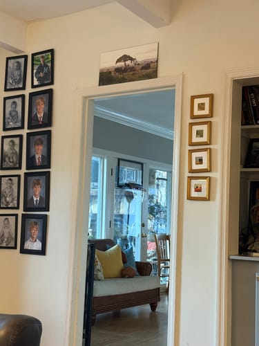 Customer photo review of 10x20 Mounted Prints